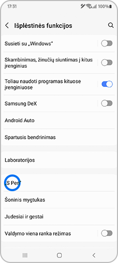 Ekrano “Išplėstinės funkcijos” vaizdas su pažymėtu “S Pen”.