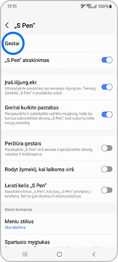 “S Pen” ekrano vaizdas su paryškintu elementu “Gestai”.