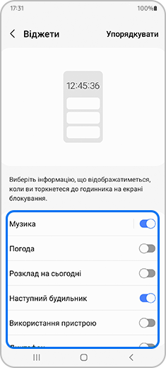 Вигляд застосунку «Віджети» з виділеним перемикачем музики.