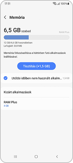 Kép az Eszközkarbantartó „Memória” menüjéről.