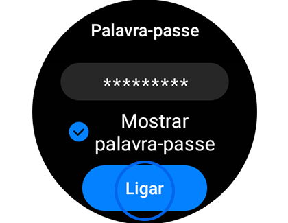 Vista de exemplo do ecrã “Palavra-passe” com destaque para o botão “Ligar”.