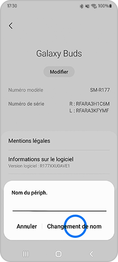 Vue de la fenêtre contextuelle du nom de l'appareil avec l'option « Changement de nom » en évidence.