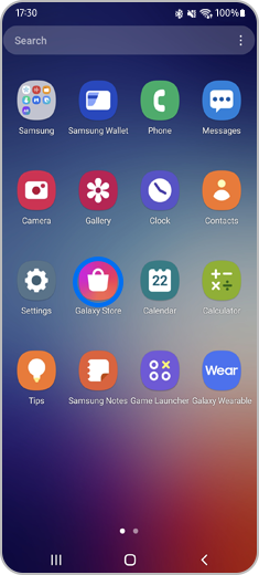 “Galaxy စတိုးလ်” အိုင်ကွန်ကို နှိပ်ခြင်းဖြင့် အက်ပ်များ စခရင်ကို ကြည့်ပါ။