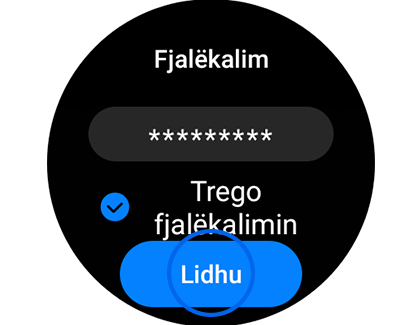 Pamja e ekranit “Fjalëkalimi” me butonin “Lidhu” të theksuar.
