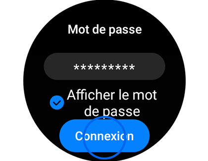 Vue de l'exemple d'écran « Mot de passe » avec le bouton « Connexion » en évidence.