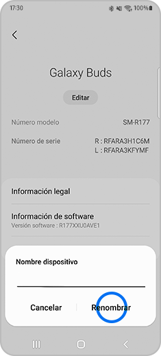 Vista de la ventana emergente del nombre del dispositivo con la opción "Renombrar" resaltada.