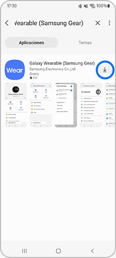 Vista de la pantalla de "Aplicaciones" y "Temas" con un toque en el icono de instalación.