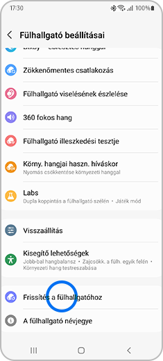 Kép a „Fülhallgató beállításai” képernyőről, amelyen ki van emelve a „Frissítés a fülhallgatóhoz” lehetőség.
