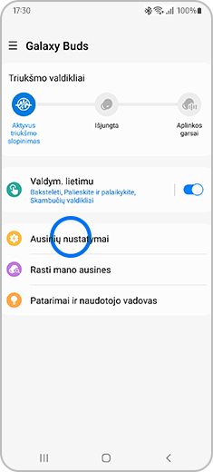 Programėlės „Galaxy Wearable“ su prijungtomis „Galaxy Buds“ vaizdas.