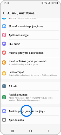 Ekrano „Ausinių nustatymai“ su paryškinta parinktimi „Ausinių progra.  įrangos naujinys“ vaizdas.