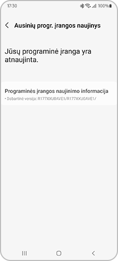 Ekrano „Ausinių progr. įrangos atnaujinimas“, kuriame galite patikrinti dabartinę „Galaxy Buds“ versiją, vaizdas.