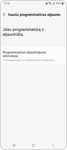 "Leaušu programmatūras atjaunin." ekrāna skats, kurā varat pārbaudīt esošo Galaxy Buds versiju.
