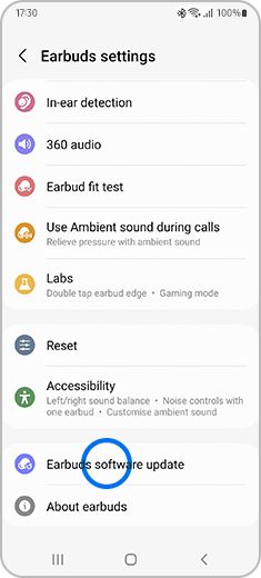 View of the "Earbuds settings" screen with the "Earbuds software update" highlighted.