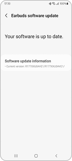 View of the "Earbuds software update" screen where you can check the current version of Galaxy Buds.