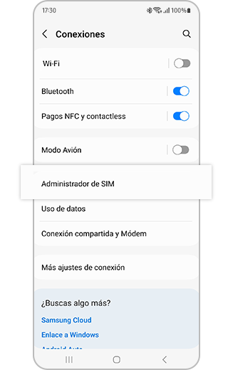 Vista del gestor de SIM seleccionado en Conexiones.