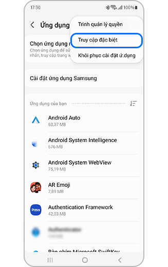Hình ảnh tùy chọn Truy cập đặc biệt được đánh dấu.