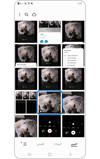 صورة الأستوديو مع الفيديو المُحدد.