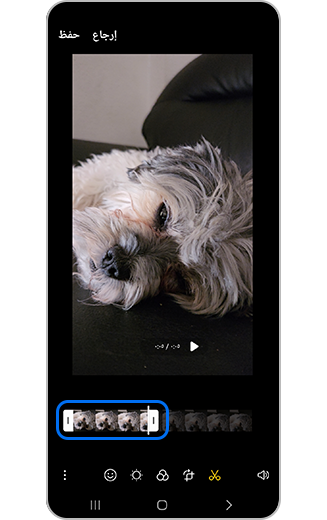 صورة التحرير المُحدد المميز.