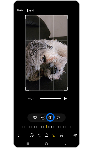 صورة أيقونة العكس.
