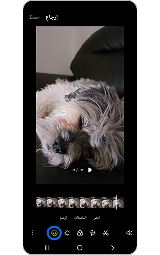 صورة أيقونة الزخرفة.