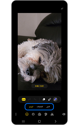 صورة خيارات الرسم والملصق والنص.