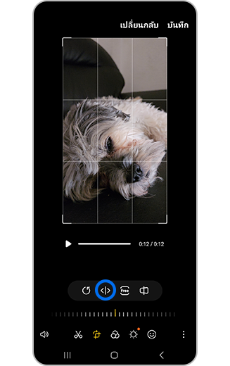 มุมมองไอคอนพลิก