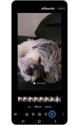 มุมมองไอคอนการตกแต่ง