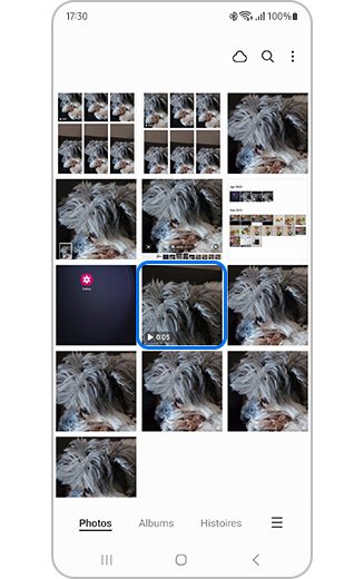 Vue de la vidéo sélectionnée dans la galerie.