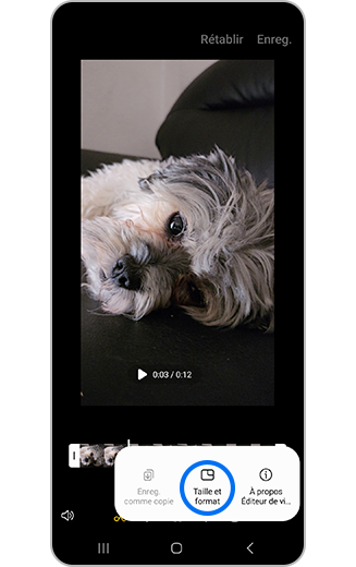 Vue de l’option supplémentaire de la vidéo Redimensionner.