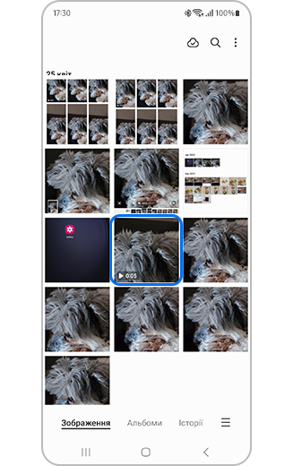 Вигляд відео, обраного в галереї.