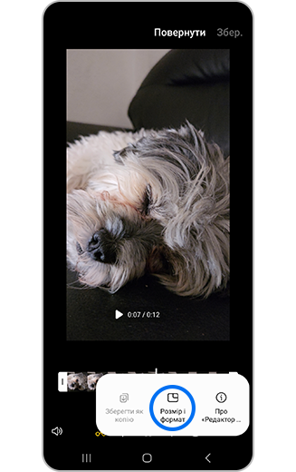 Вигляд виділених додаткових опцій відео Розмір та формат.