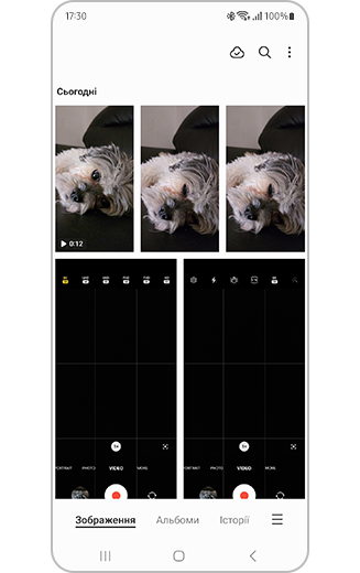 Вигляд галереї з доступними відео.