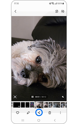 Вигляд обраного відео та виділена іконка «Поділитися».