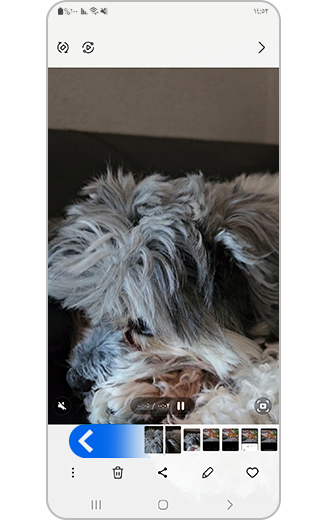 صورة لفيديو مع عرض الإطارات.