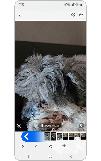 Vue de la vidéo avec affichage des images.