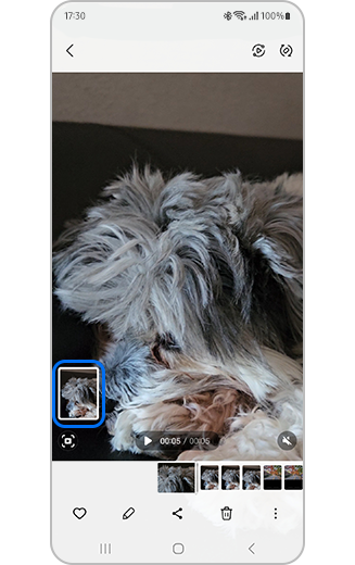 Vue de la vidéo avec l’aperçu de la capture de l’image sélectionnée en évidence.