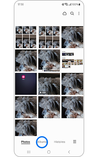 Vue de la galerie avec Albums en évidence.