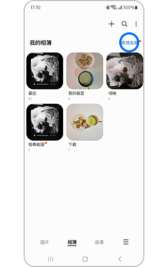 相簿上突出顯示「全部檢視」的視圖。
