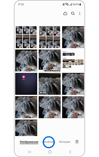 Галерея с подсвеченными Альбомами.