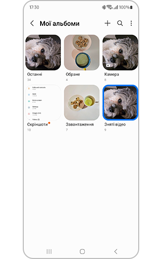Вигляд усіх альбомів, включаючи захоплені кадри.