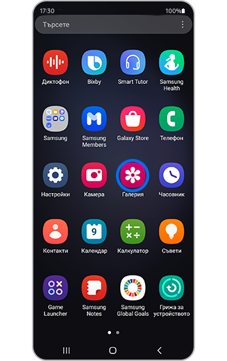 Изображение на иконата „Галерия“.