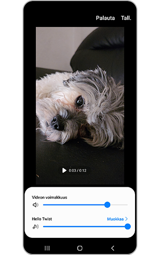 Kuva videon ja musiikin äänenvoimakkuuden tasoista.