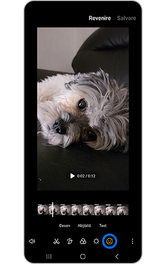 Imagine cu pictograma Decorațiuni.