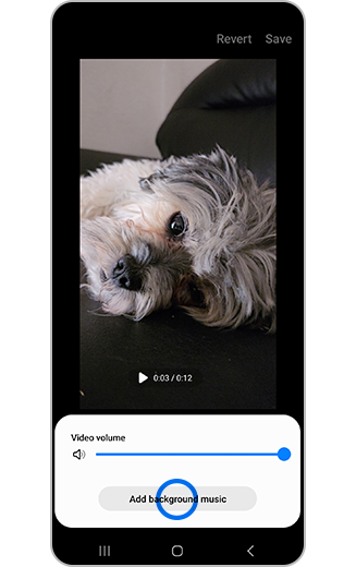 View of add background music button