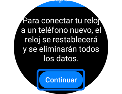 Vista de la pantalla "Copia de seguridad" con el botón "Continuar" resaltado.
