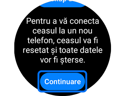 Imagine cu ecranul „Backup date” cu butonul „Continuare” evidențiat.