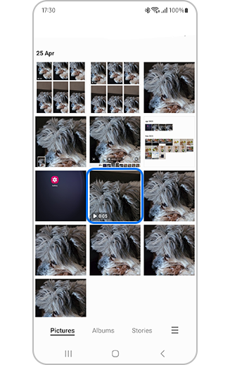 View of video selected in gallery.