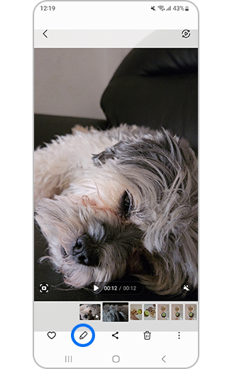 View of selected video with edit icon highlighted.