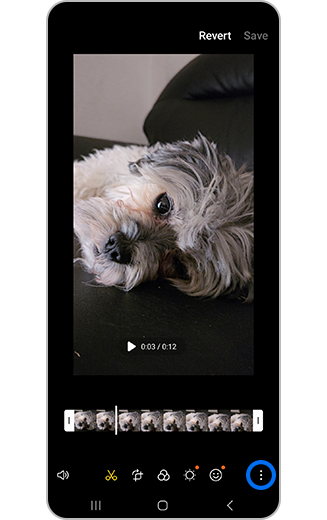 View of video more options icon.