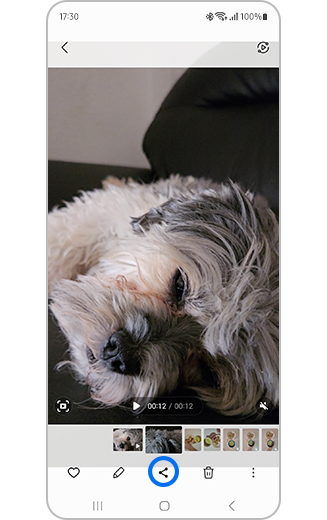 View of video selected and share icon highlighted.